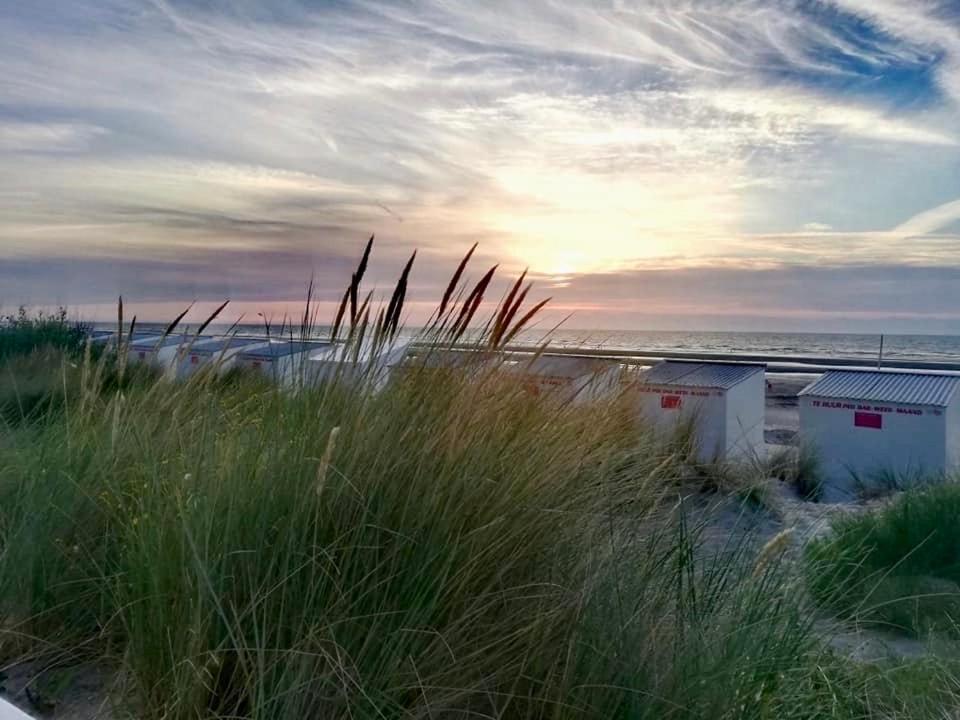Seayousoon Nieuwpoort-Bad Luaran gambar